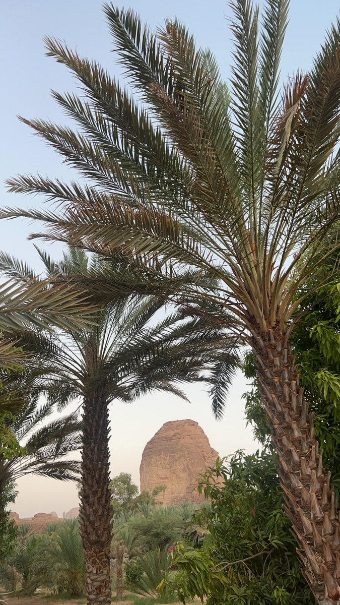 mashael466's tweet photo. العلا📍 https://t.co/8vasg2QaVS