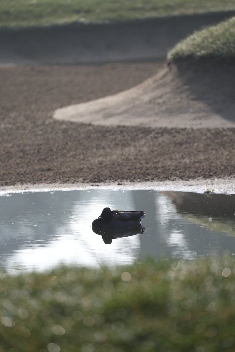 The Melbourne Club tweet media