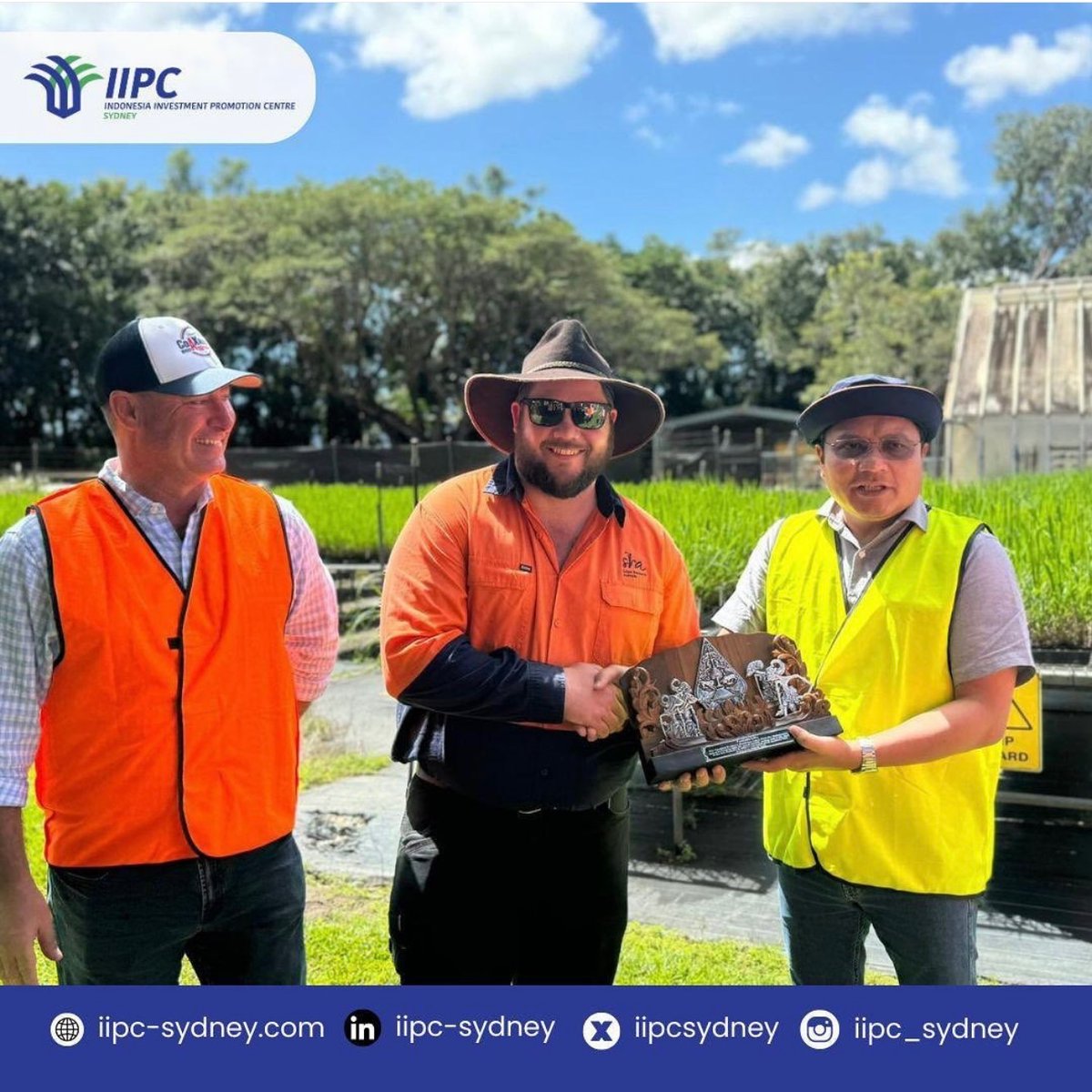 IIPC Sydney tweet media