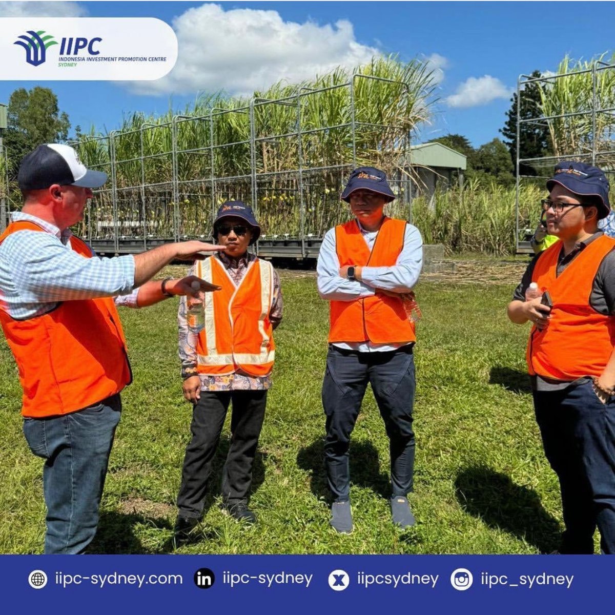 IIPC Sydney tweet media