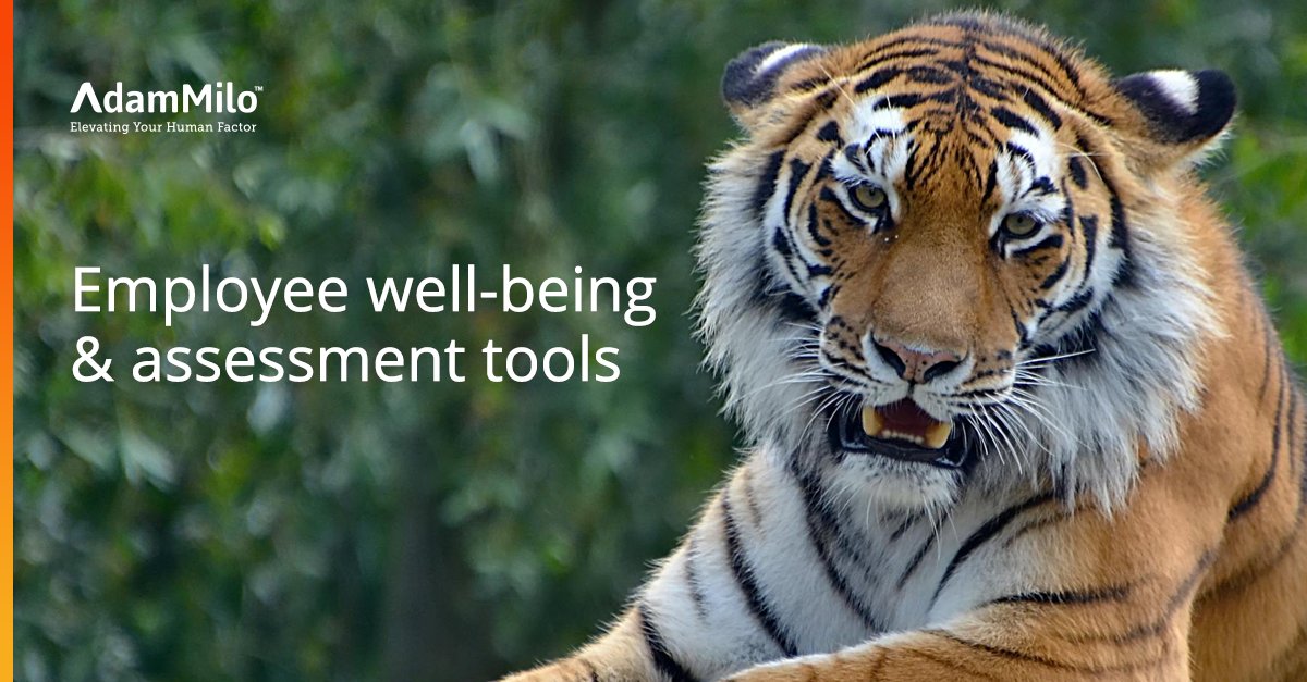 Employee well-being goes beyond ethics—it's tied directly to business success. 

Adam Milo’s assessment tools offer insights into candidates’ integrity, risk potential, and cultural fit, helping you build a skilled, aligned, and resilient team. Invest in your people, and you’ll