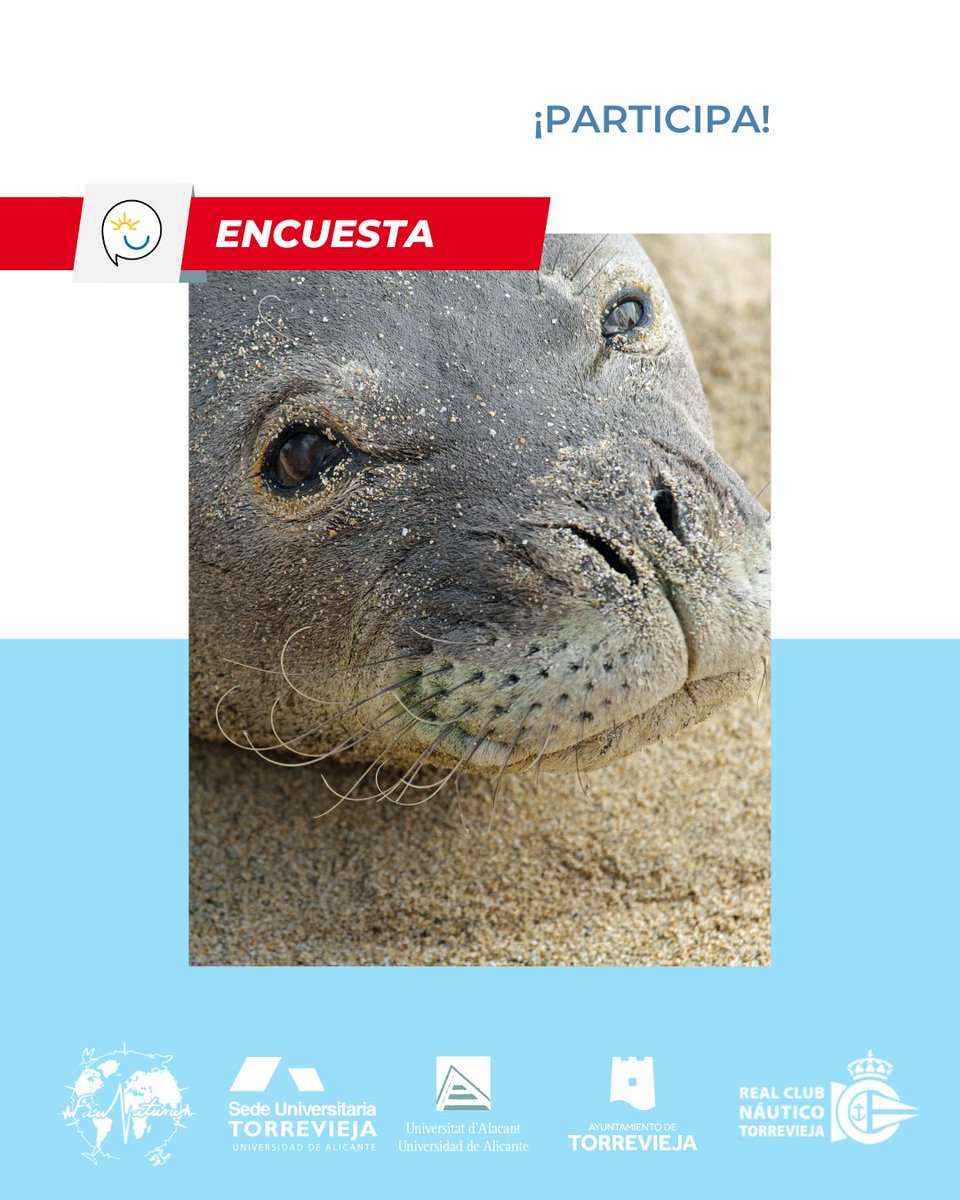 🌊 ¡Tu opinión cuenta para proteger nuestras costas! 🦭
📝 Haz clic aquí para participar: iuii.qualtrics.com/jfe/form/SV_el…
<a href="/proyectomastral/">Proyecto Mastral</a>
<a href="/torreviejaayto/">Ayuntamiento de Torrevieja</a>
<a href="/torreviejaturis/">TurismodeTorrevieja</a>
<a href="/torreviejaua/">TorreviejaUA</a>