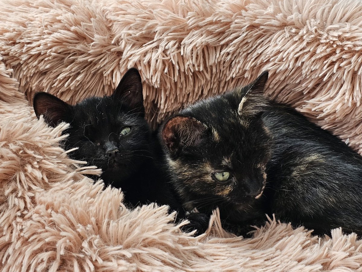 Ruby Radley tweet media