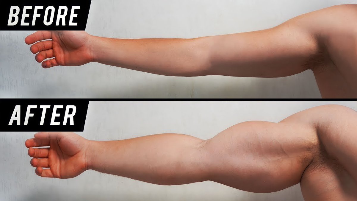 The_Truepath's tweet photo. 5 Workouts to Build Bigger Arms:

-Thread- https://t.co/8nhP3be1ll