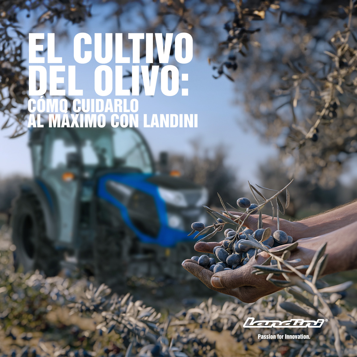 ARGO TRACTORS IBÉRICA tweet media
