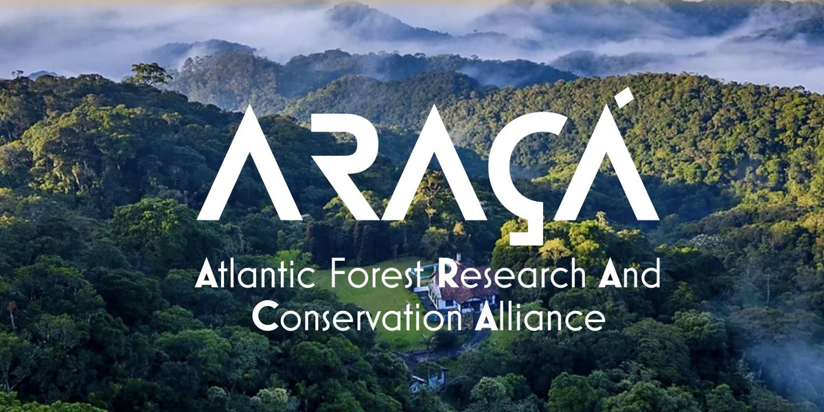 Daniel Zuleta (@danielfzuleta) on Twitter photo PhD position in #Tropical #ForestEcology at <a href="/goteborgsuni/">Göteborgs universitet / University of Gothenburg</a>!
Join us to study Mata Atlântica🌳, one of the most diverse yet threatened biodiversity hotspots! 🌎
<a href="/becc_sweden/">Biodiv. & Ecosystem Services in a Changing Climate</a> <a href="/GGBC_GU/">Gothenburg Global Biodiversity Centre</a> <a href="/antonelli_lab/">Antonelli Lab</a> Link below 👇 PhD position in #Tropical #ForestEcology at <a href="/goteborgsuni/">Göteborgs universitet / University of Gothenburg</a>!
Join us to study Mata Atlântica🌳, one of the most diverse yet threatened biodiversity hotspots! 🌎
<a href="/becc_sweden/">Biodiv. & Ecosystem Services in a Changing Climate</a> <a href="/GGBC_GU/">Gothenburg Global Biodiversity Centre</a> <a href="/antonelli_lab/">Antonelli Lab</a> Link below 👇