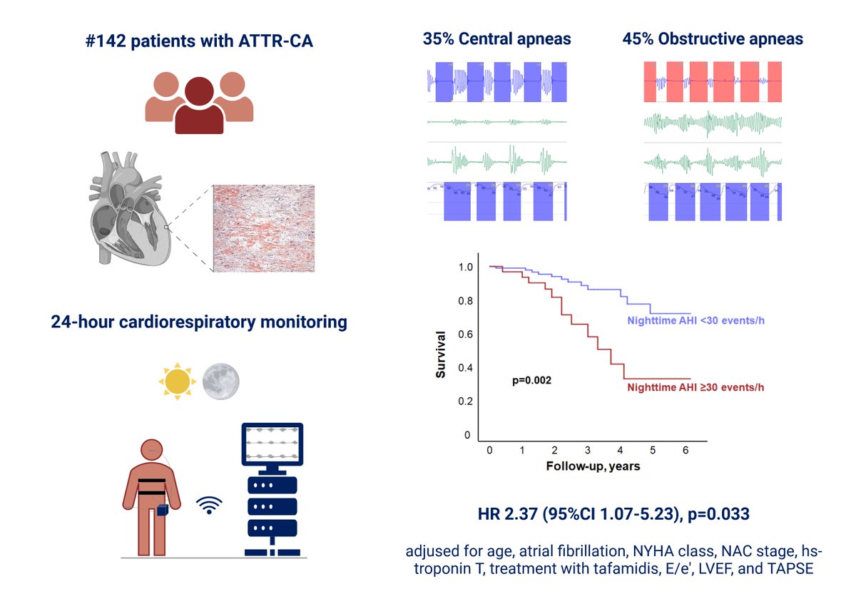 Francesco Gentile (@francegentmd) on Twitter photo 🚨🚨 Hot off the press!
Thrilled to share our latest study on the clinical and prognostic significance of central and obstructive #apneas in patients with transthyretin cardiac #amyloidosis
➡️ lnkd.in/eztKtwtC
#EJPC <a href="/ESC_Journals/">European Society of Cardiology Journals</a> <a href="/escardio/">European Society of Cardiology</a> <a href="/ScuolaSantAnna/">ScuolaSantAnna</a> 🚨🚨 Hot off the press!
Thrilled to share our latest study on the clinical and prognostic significance of central and obstructive #apneas in patients with transthyretin cardiac #amyloidosis
➡️ lnkd.in/eztKtwtC
#EJPC <a href="/ESC_Journals/">European Society of Cardiology Journals</a> <a href="/escardio/">European Society of Cardiology</a> <a href="/ScuolaSantAnna/">ScuolaSantAnna</a>