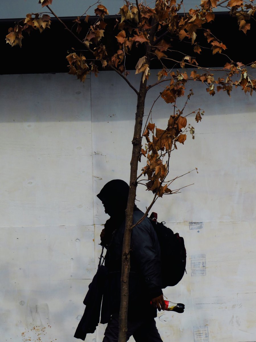 hermesdeapie's tweet photo. Otoño 🍁 

#urbanphotography
#streetphotography 
#Straßenfotografie
#photographiederue https://t.co/VNnvt1A82i