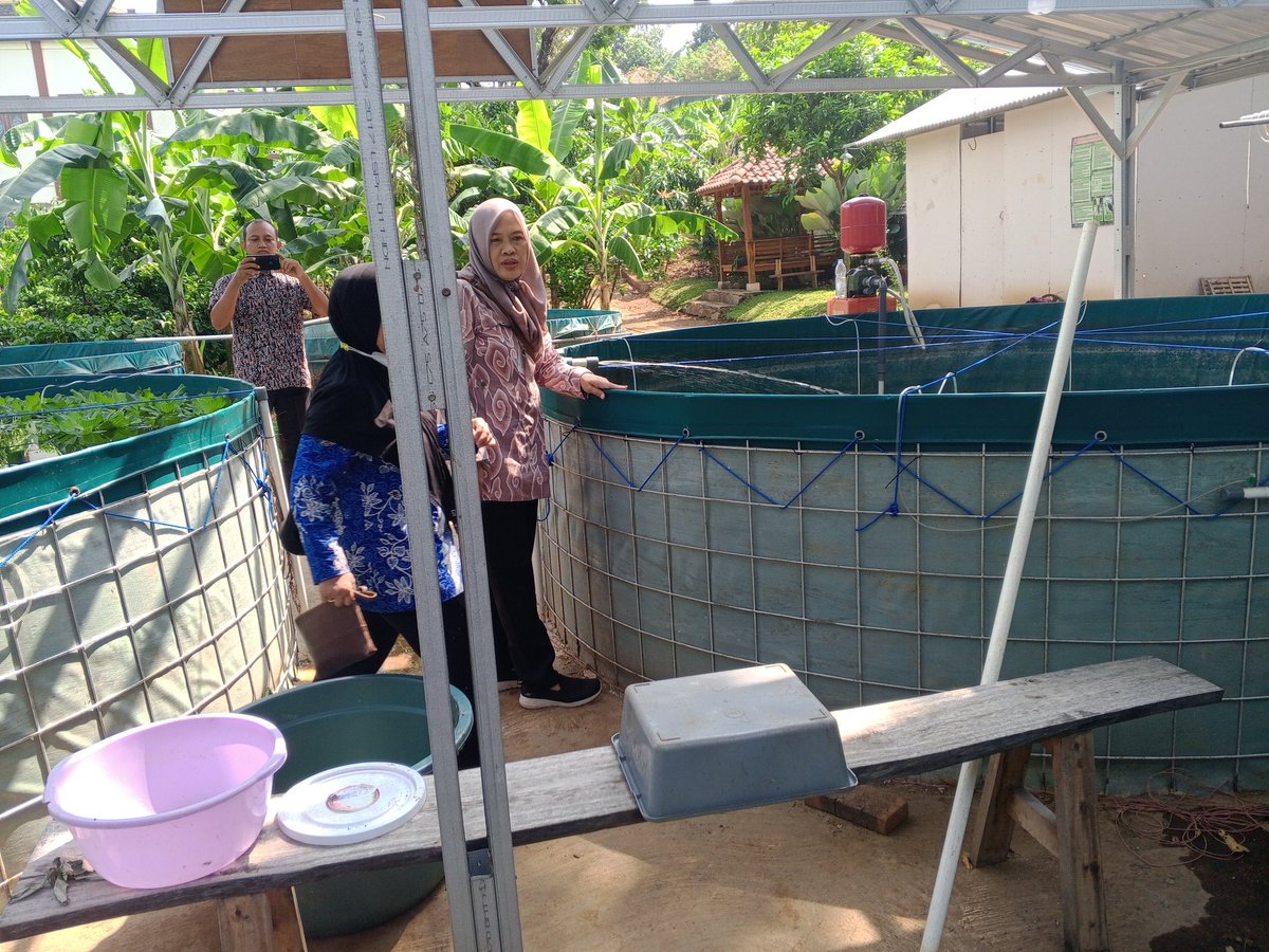 mochlas_ap's tweet photo. Bismillah
Selasa 24 Sept 24 P.Ihsan Karya Bakti Soco Dawe panen nila 75 kg harga 30rb/kg.Semoga pelaku perikanan Kudus makin maju n sukses aamiin
#luhlapor
#GiatLuhkanSatminkalTegal
#GiatLuhkanSatminkalBogor
@brpbatpp_bogor 
@PKBLU_bp3tegal 
@pusluh_bppsdm https://t.co/FMAtXRj43y