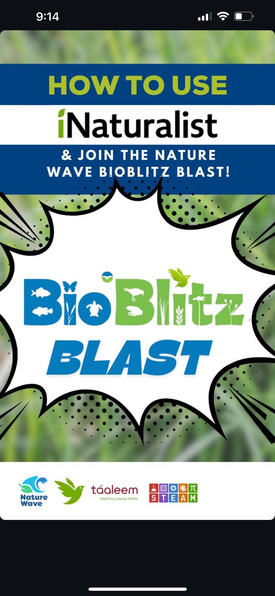 Dubai British School tweet media