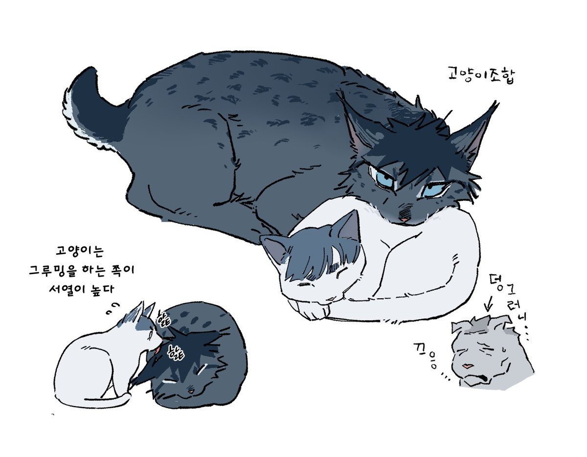 ratlove2cha's tweet image. 인신창 승재 찬냥이