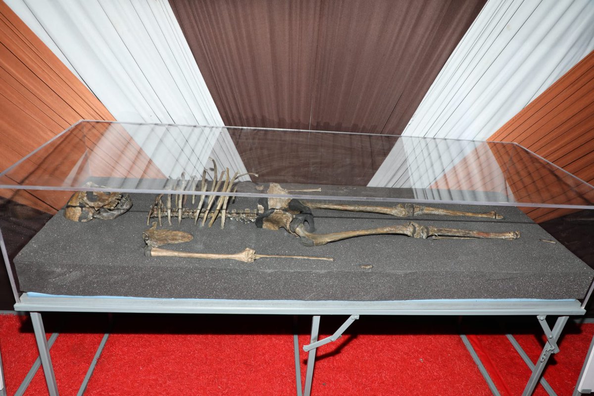 @Kenya Home of Human Origins tweet media