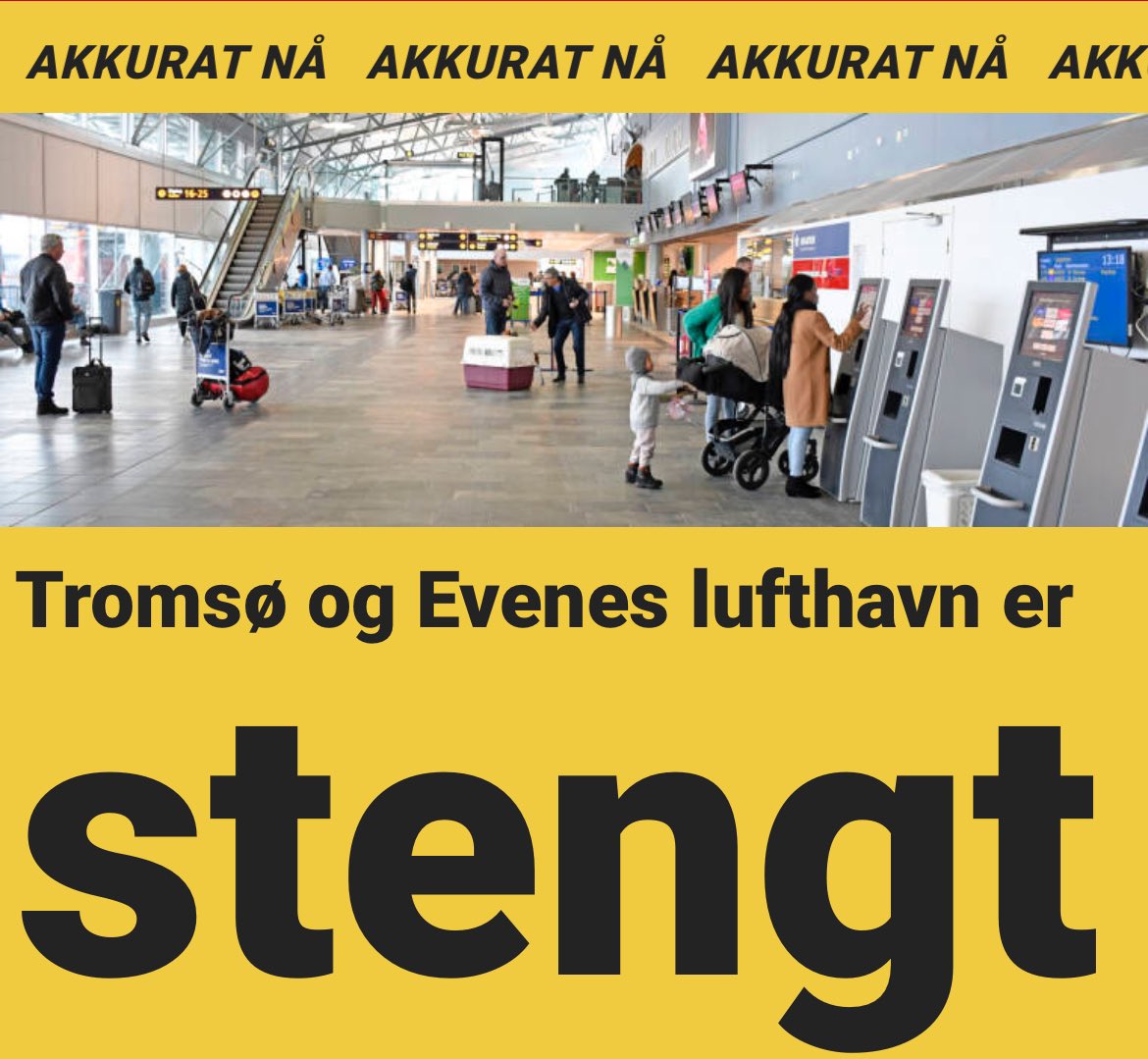 Marius Helgå tweet media