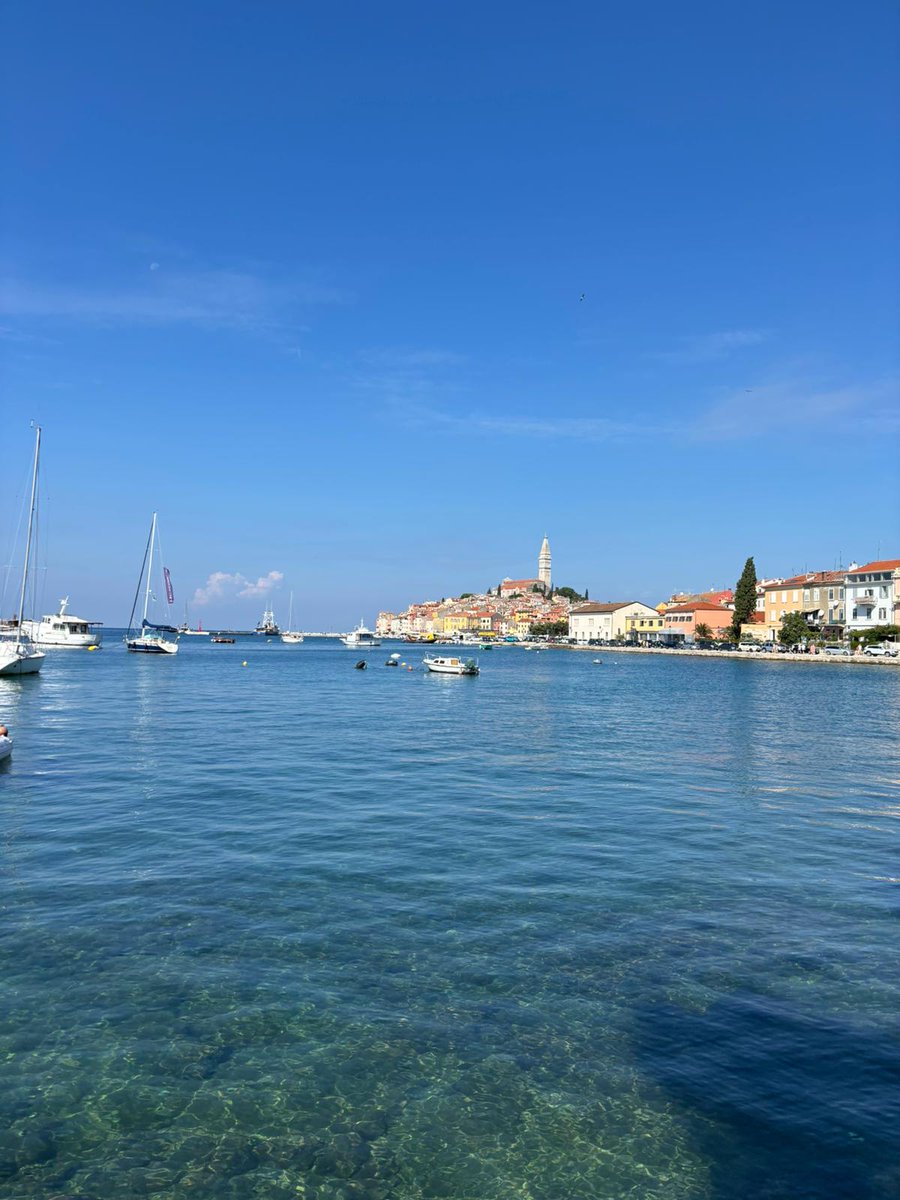 GuillermetLab's tweet photo. This week, Camille and Elisa (@Toxalim_E01) are in Rovinj (Croatia) for the 15th International Comet Assay meeting. A great opportunity to present their work on the impact of pesticides on the pancreas!
@crctoncopole @Inserm @CanceropoleGSO @CNRS_Toulouse https://t.co/OBImb5RCD5
