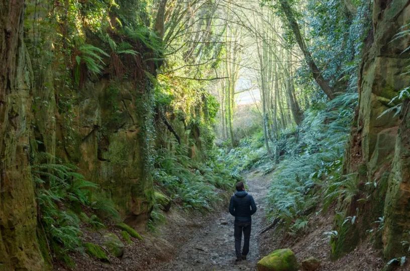 Part of our aim is to create a network of #environmental specialists, both individuals and organisations. Today we are continuing our #series of useful accounts to follow. Today’s highlight: <a href="/sunkenlanes/">Holloways & Sunken Lanes</a>