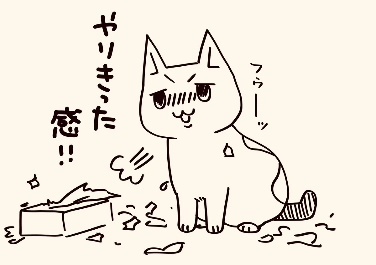 げぼくがおしごとたいへんそうなので
アイちゃんもがんばろうとおもいました

#猫がいるくらし 