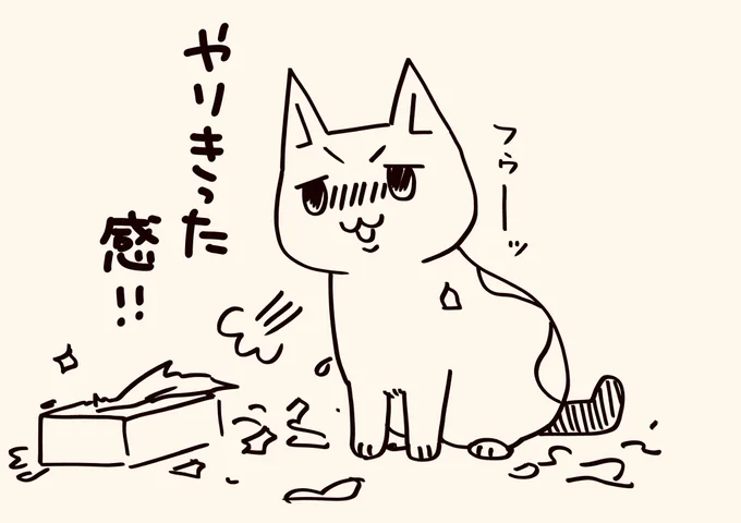 げぼくがおしごとたいへんそうなので
アイちゃんもがんばろうとおもいました

#猫がいるくらし 