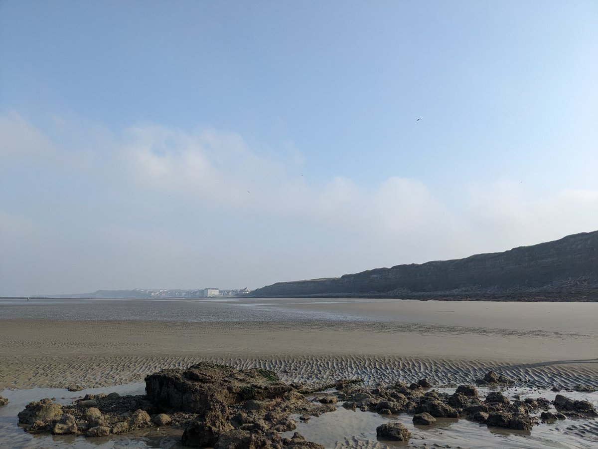 Gone fieldworking! 🔨🌊🪣 
📍Pointe de la Crèche🇨🇵 #MarineScience #intertidal #biodiversity <a href="/univ_lille/">Université de Lille</a> <a href="/LOG_labo/">Laboratoire d’Océanologie et de Géosciences</a> <a href="/RechercheUlille/">Recherche - Université de Lille</a>