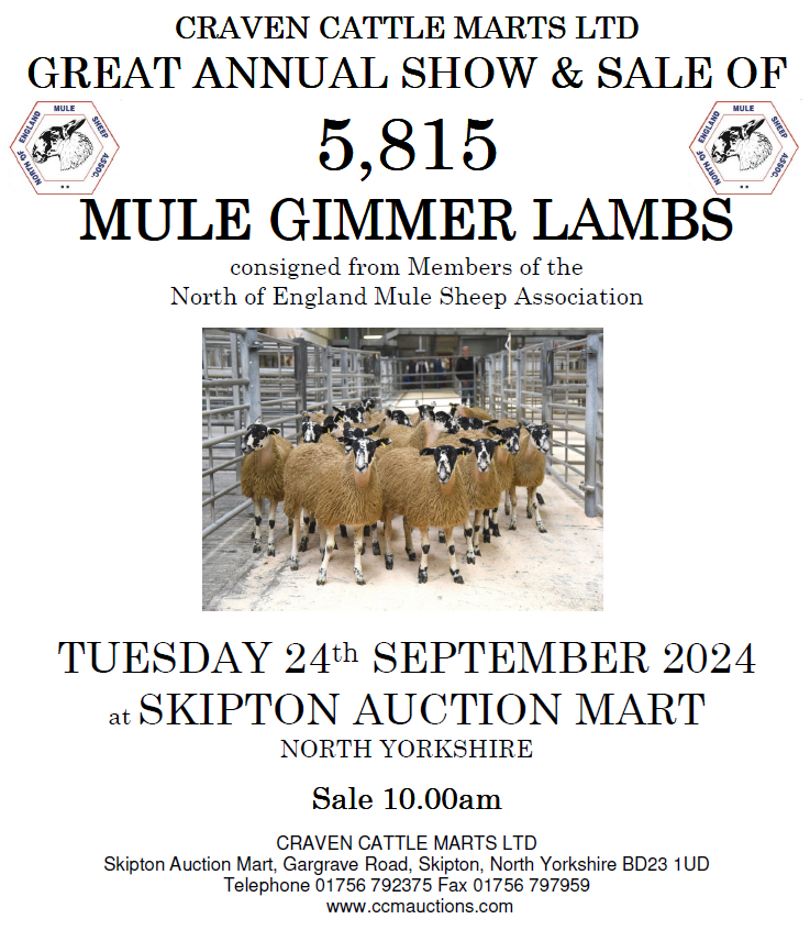 Emma Hayes tweet media