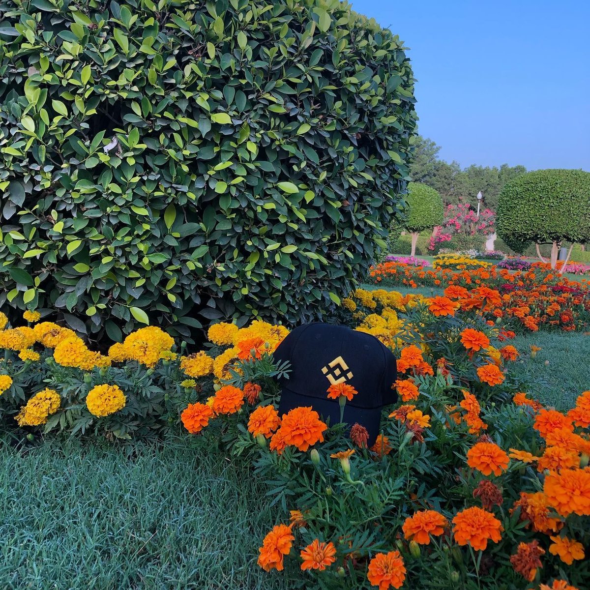 binance's tweet photo. When your cap takes ‘touching grass’ to a whole new level. https://t.co/waHGAcA25T