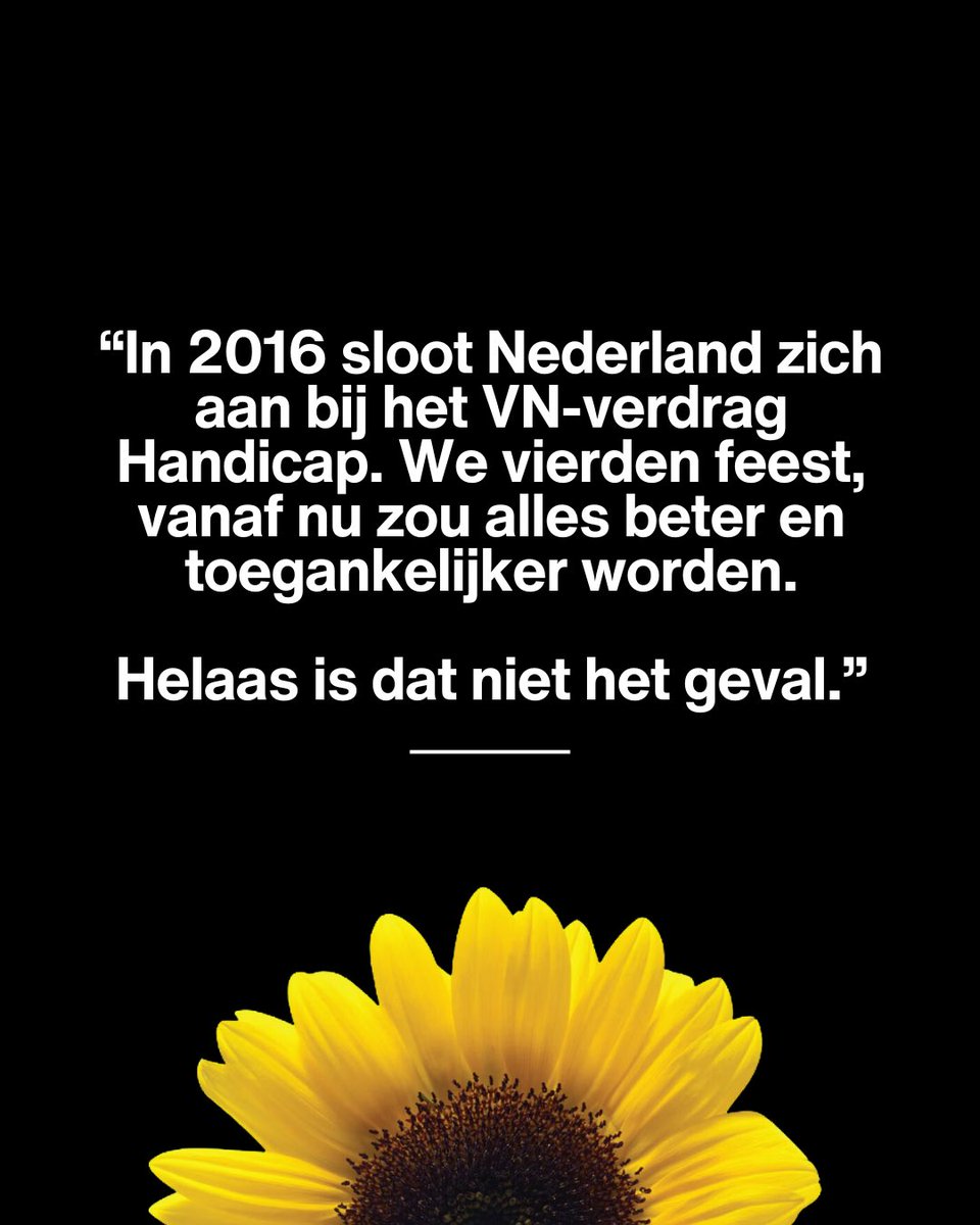 Lisawesterveld's tweet photo. Bewust én onbewust worden mensen met een beperking in hun dagelijks leven belemmerd en buitengesloten.

Ook politiek Den Haag vergeet hen vaak. Met grote gevolgen.

Hoog tijd voor bewustwording! Tot het Kamerdebat deel ik hieronder echte verhalen over #AlledaagsValidisme🌻
🧶 /1 https://t.co/i53Zdu1KnN