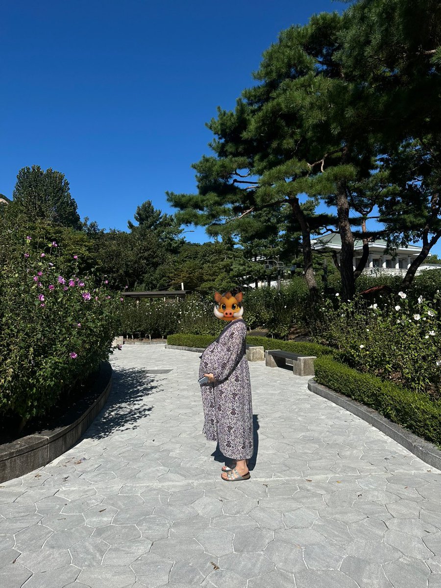 남이 찍어준 사진 보면 내 배가 새삼 얼마나 큰지 체감이 된다. 쌍둥어매의 배. D-8🫠