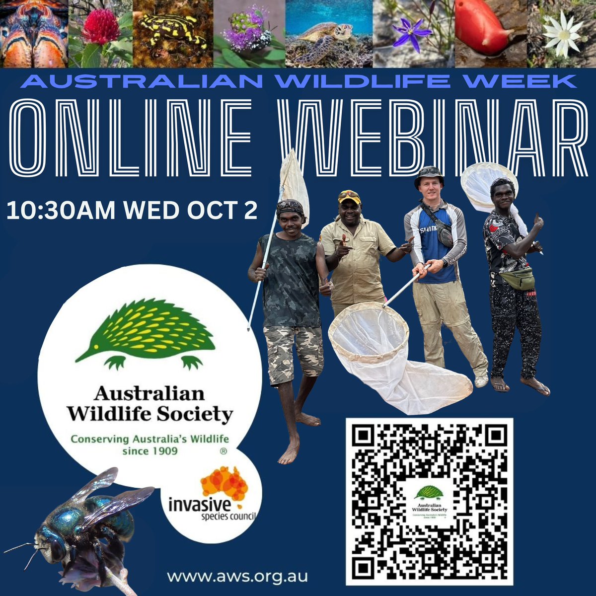 Keen as to speak at the #AustralianWildlifeWeek Webinar as the 2024 Dr Clive Williams OAM Memorial Wildlife Conservation Scholarship recipient. 🤙🏻 

us06web.zoom.us/webinar/regist…

Join on Wed, 2 Oct 24 at 10:30 am (AEST).