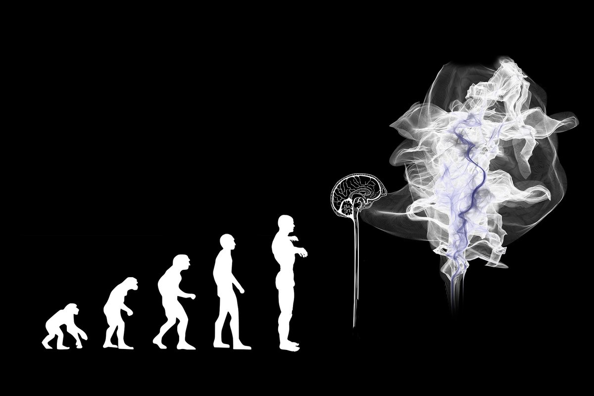 Institute of Crystallography (@ic_cnr) on Twitter photo #EuropeanResearchersNight
#CNR_IC è con: Holobox – Ologramma 3D. Creiamo una #realtàvirtuale generando l’illusione di un #ologramma tridimensionale.
#i4science
<a href="/CNRsocial_/">CNR Consiglio Nazionale delle Ricerche</a>
nottedeiricercatori-i4science.cnr.it/project/53-hol… #EuropeanResearchersNight
#CNR_IC è con: Holobox – Ologramma 3D. Creiamo una #realtàvirtuale generando l’illusione di un #ologramma tridimensionale.
#i4science
<a href="/CNRsocial_/">CNR Consiglio Nazionale delle Ricerche</a>
nottedeiricercatori-i4science.cnr.it/project/53-hol…