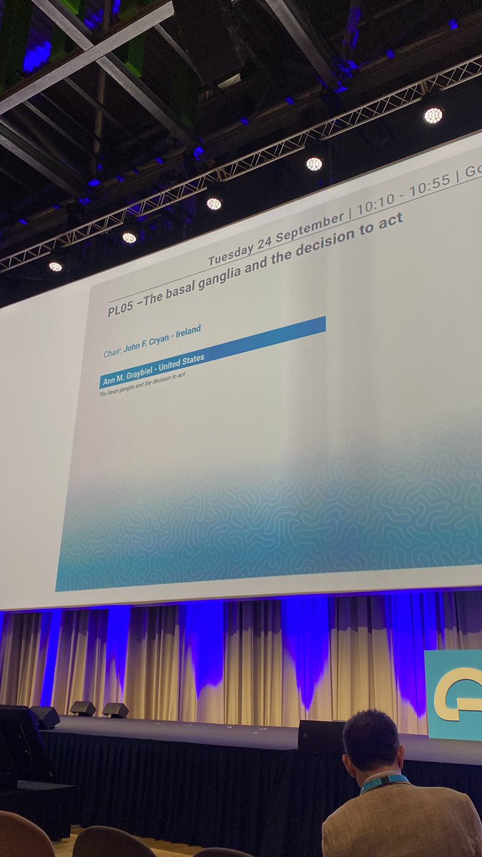 Anna Wester tweet media