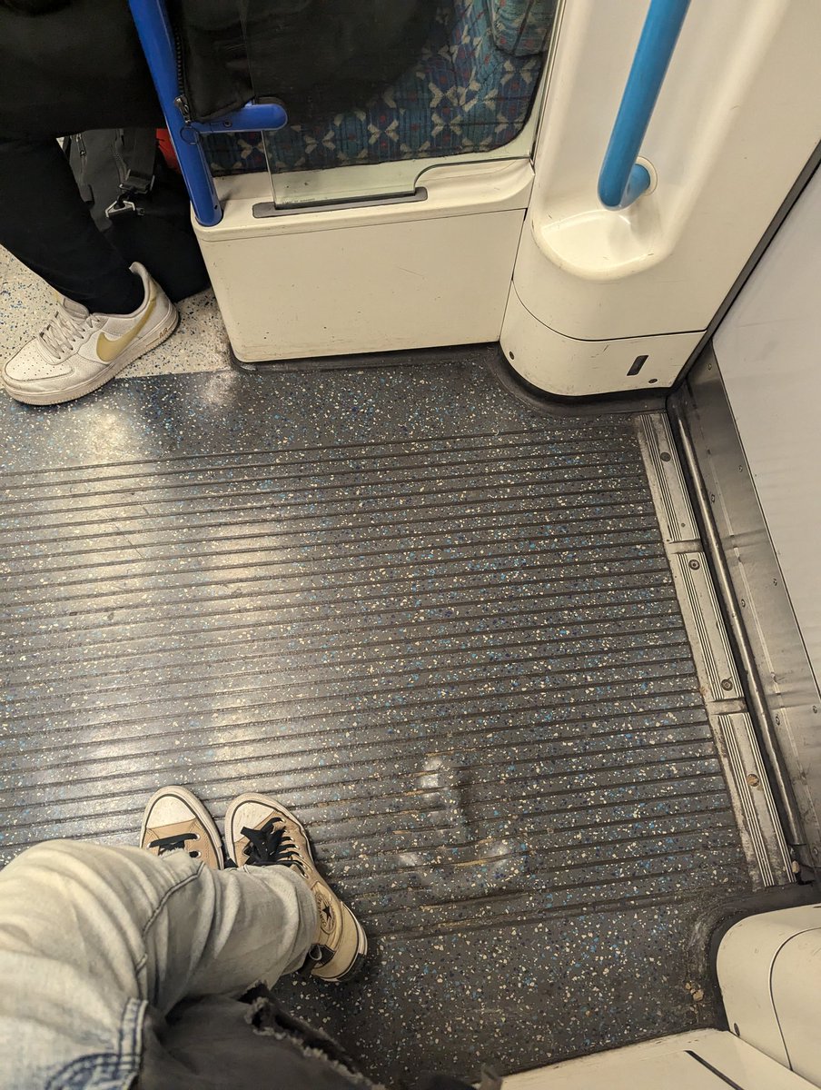 HenryOwn's tweet photo. Como distinguir ejemplares masculinos de metro: https://t.co/tDpB1yXq40