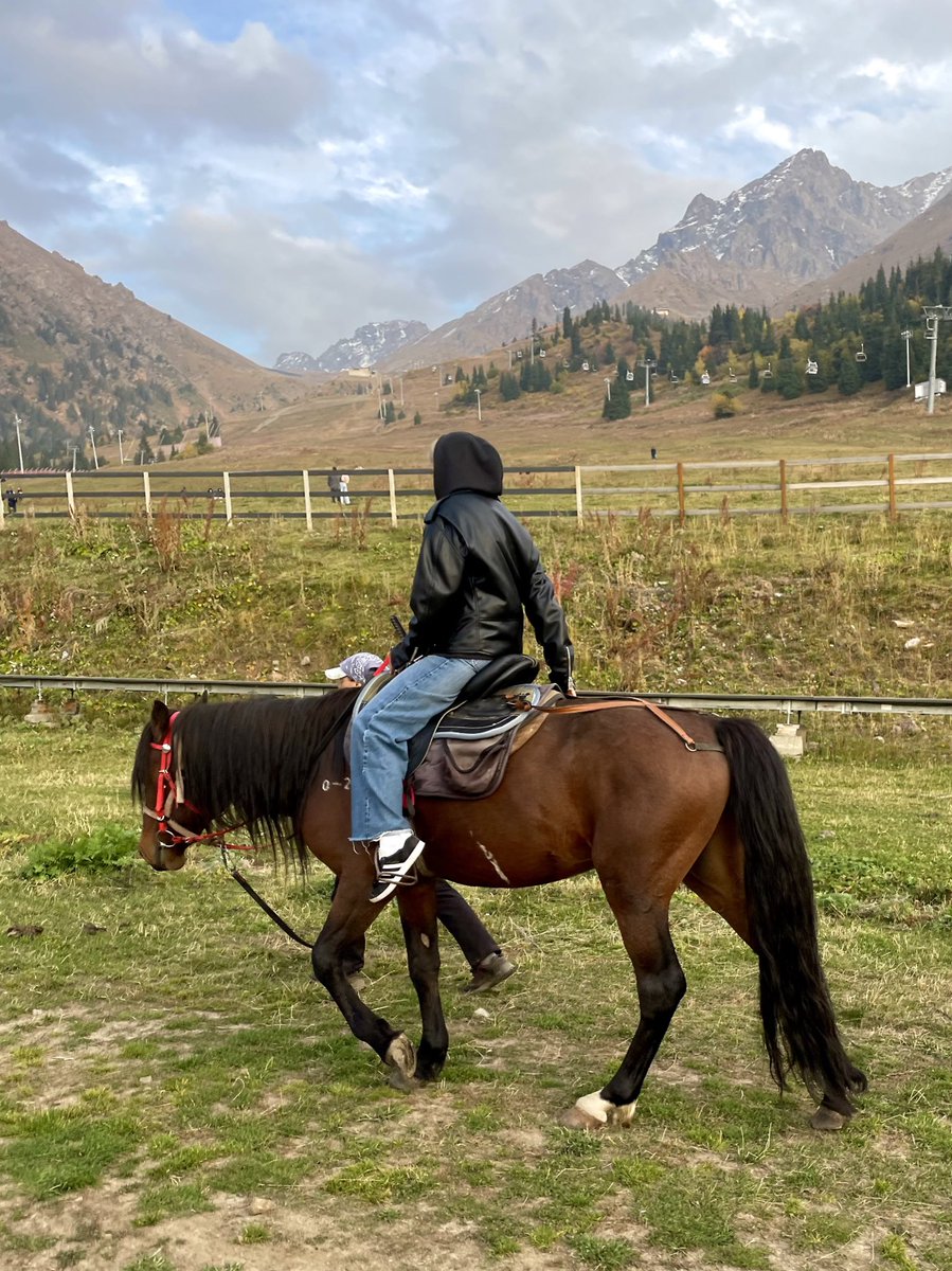 Его зовут Жора 🖤
