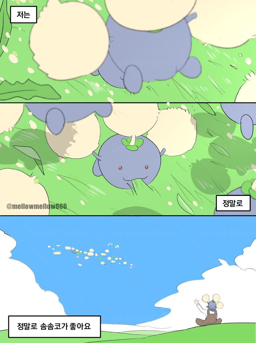 솜솜코 두코 통통코