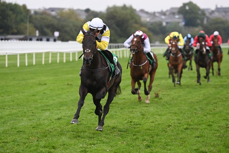 Delighted to have another winner <a href="/ListowelRaces/">Listowel Races</a> with #cappucino this week with <a href="/LizDoyleRacing/">Liz Doyle</a> <a href="/racingblogger/">Stephen R Power</a> <a href="/RacingTV/">Racing TV</a> #HorseRacing <a href="/HRIRacing/">Horse Racing Ireland</a>