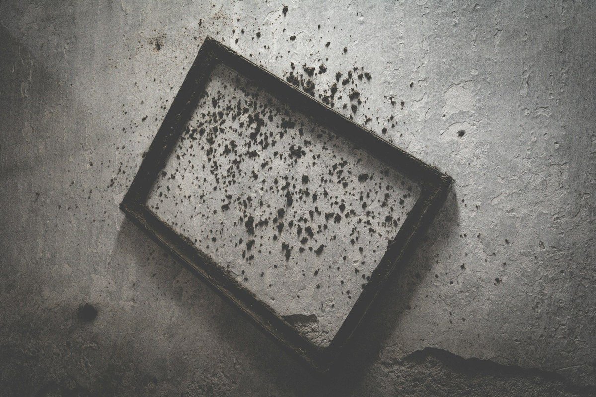 bridgewaterdev's tweet image. Mould is more than an eyesore—it’s a health and structural risk!
Got questions about black mould? Check out our blog for causes, health risks, and why DIY often fails. Read more: buff.ly/3TivqmM

⚠️ Suspect mould? Contact us today!

#MouldProblems #MouldRemoval