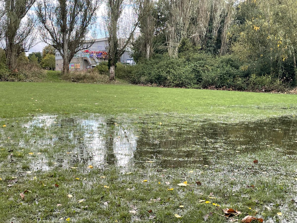 Brent River Park tweet media
