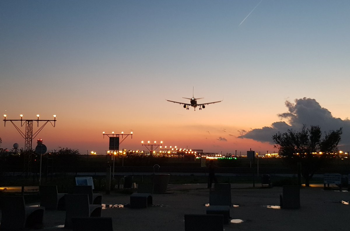 Oscar Hernández tweet media