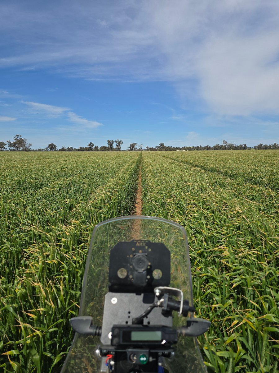 Broden holland tweet media