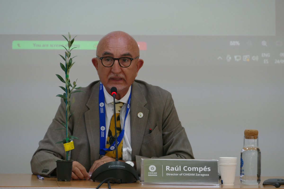 CIHEAMZaragoza's tweet photo. 🕊️Jornada internacional: #AceitedeOliva para la #paz
-Raúl Compés, Director @CIHEAMZaragoza
-Miguel Ángel Riesgo, Delegado de España en el Consejo de Administración @CIHEAM
-Wafaa Dikah Hamze, Delegada de Líbano en el Consejo de Administración @CIHEAM
#OLIB #Cooperación https://t.co/6nZe9hNRXl