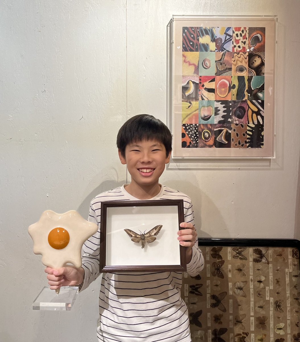 虫る？
蛾を中心とした展示はアウトオブミュージアムで10月6日まで。
非常に珍しい雌雄同体オオシモフリスズメも展示中。