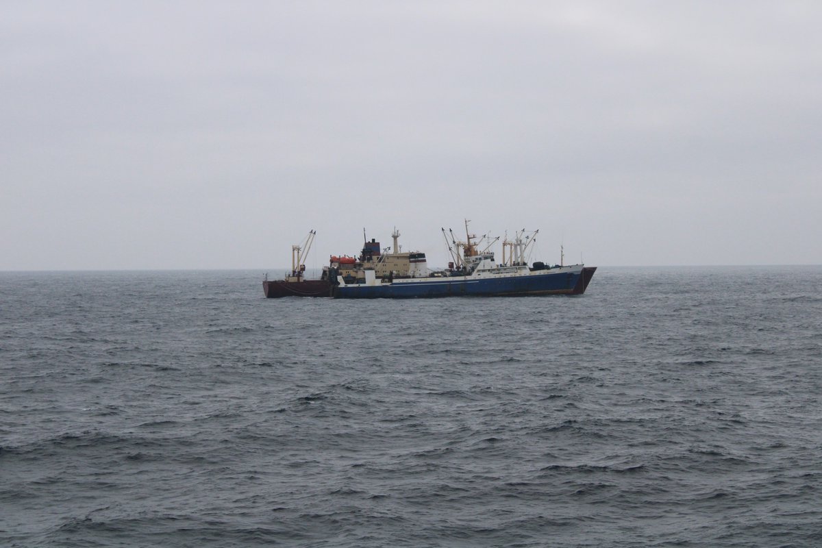 EFCA_EU's tweet photo. 🚢 #OceanProtector on patrol!
Inspectors from 🇪🇸🇵🇹& 🇱🇻 joined us for a #NEAFC patrol in the #NorwegianSea. Verifying compliance with NEAFC regulations in a fishery targeting #NorthAtlantic pelagic stocks like Mackerel, Herring, & Blue whiting.
#WeCoordinate #FisheriesControl🌐 https://t.co/vRRVIIObgJ
