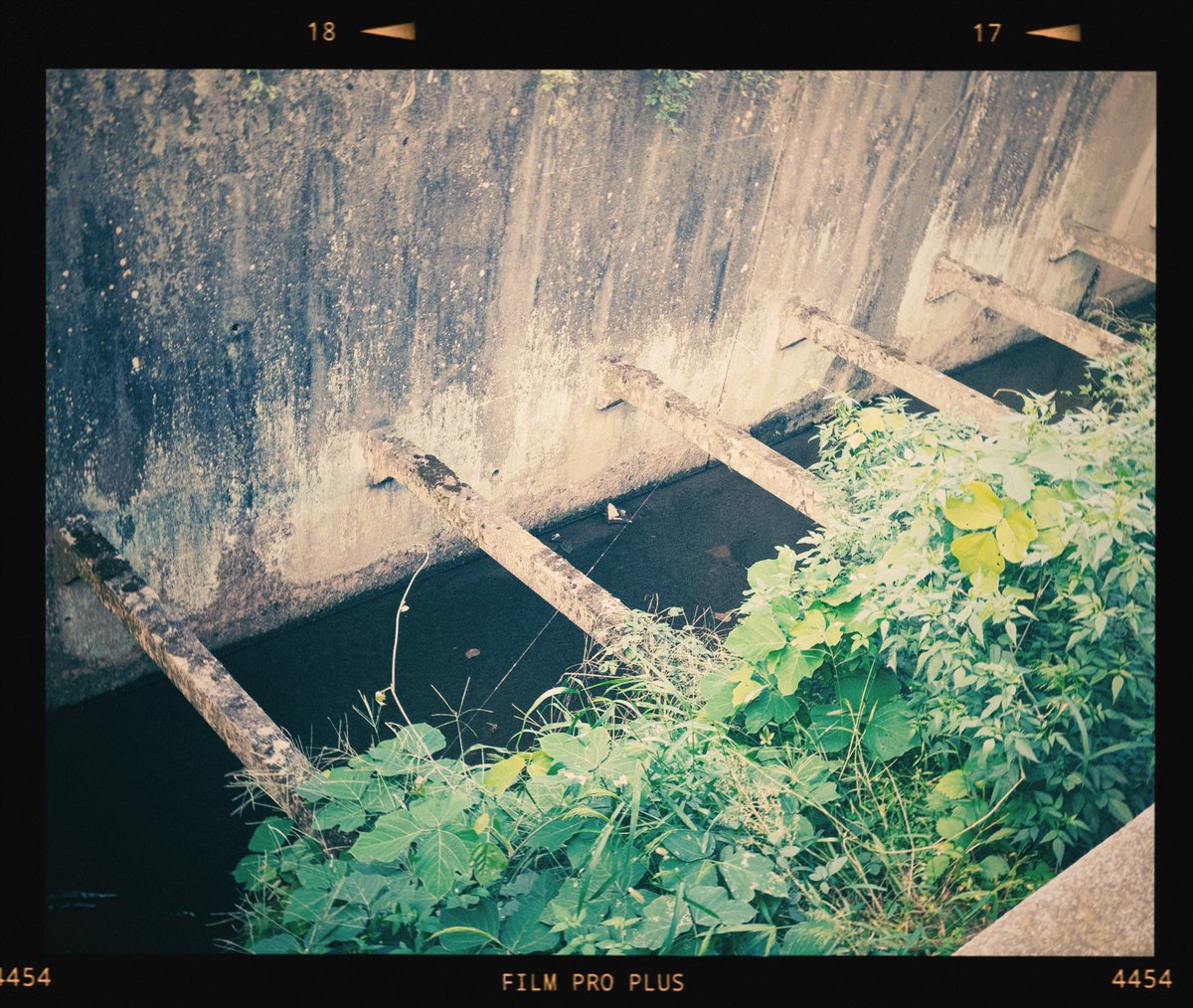 JoshuaTree_11's tweet image. ＃dazz