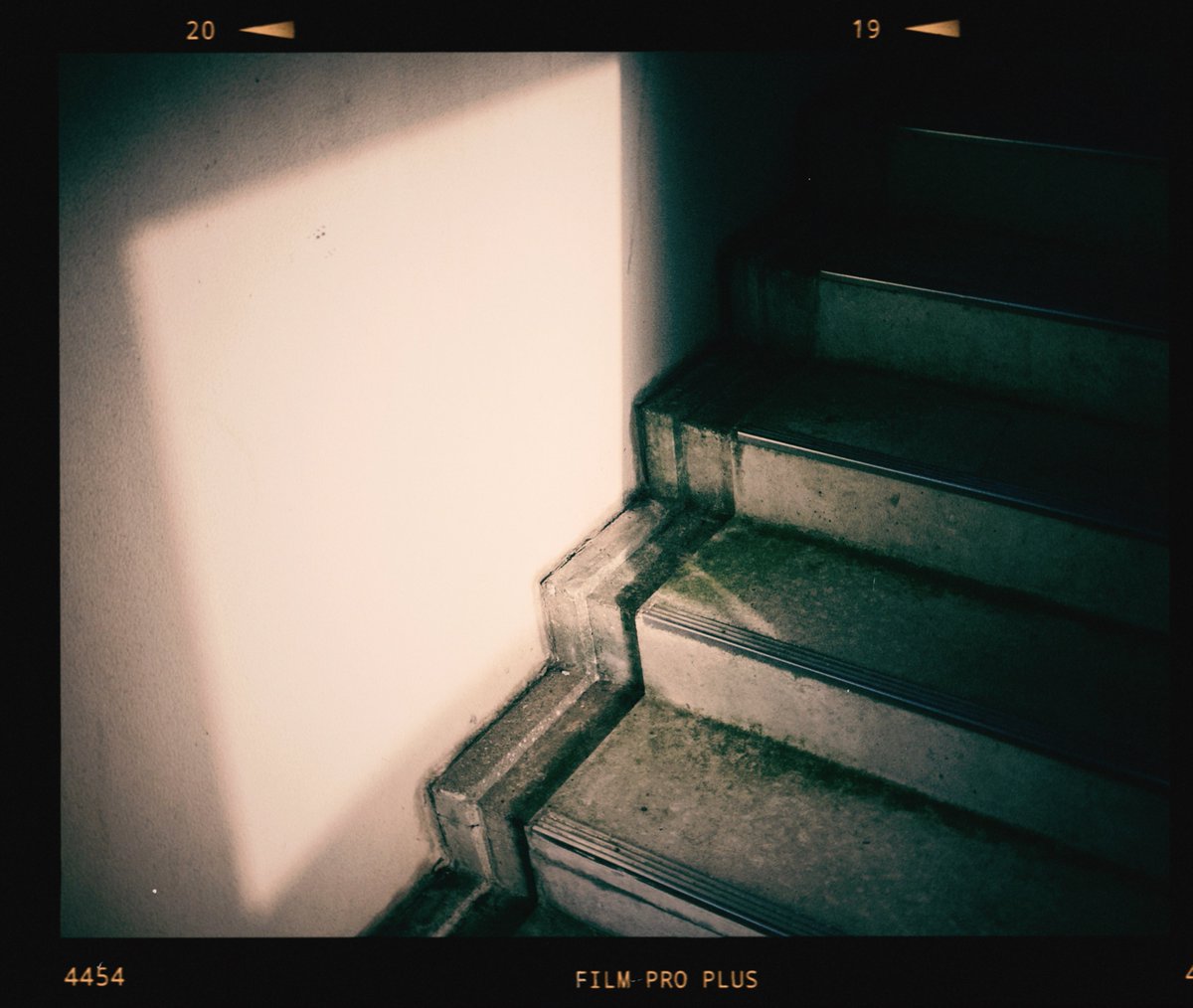 JoshuaTree_11's tweet image. ＃dazz