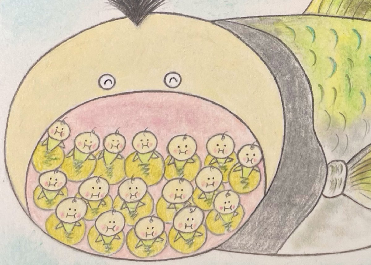 lionhead358's tweet photo. マウスブルーダーの子育て
#イラスト #illustlator #絵 #art #マウスブルーダー #mouthbrooder https://t.co/9H17Zyak1L