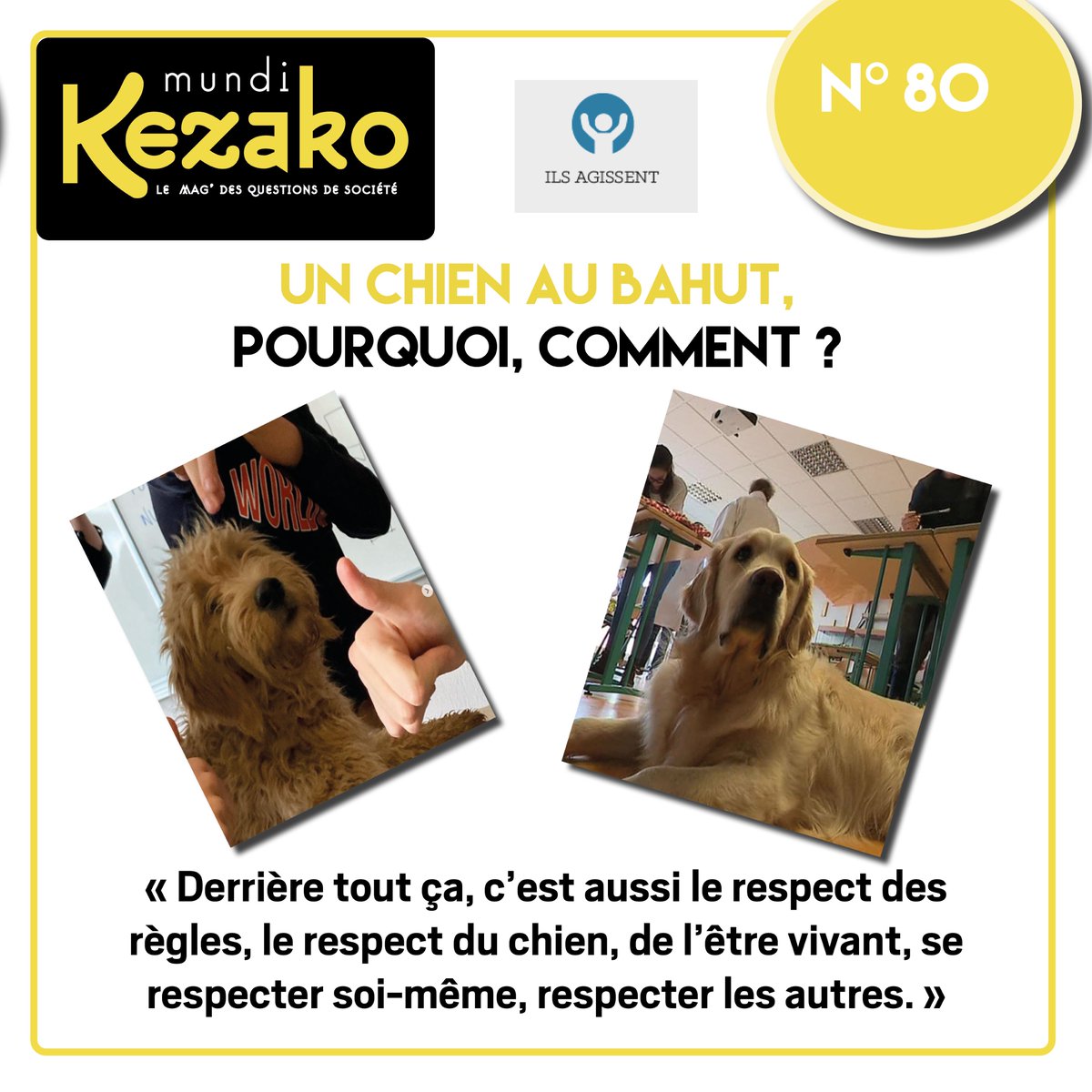 Kezako ce mois-ci est allé à la rencontre de deux enseignantes, porteuses d’un  projet impliquant un ou des chiens dans leur établissement scolaire. Comment a  été reçue l’idée ? Comment cela se passe-t-il concrètement ? On vous en dit plus  dans le numéro du mois…