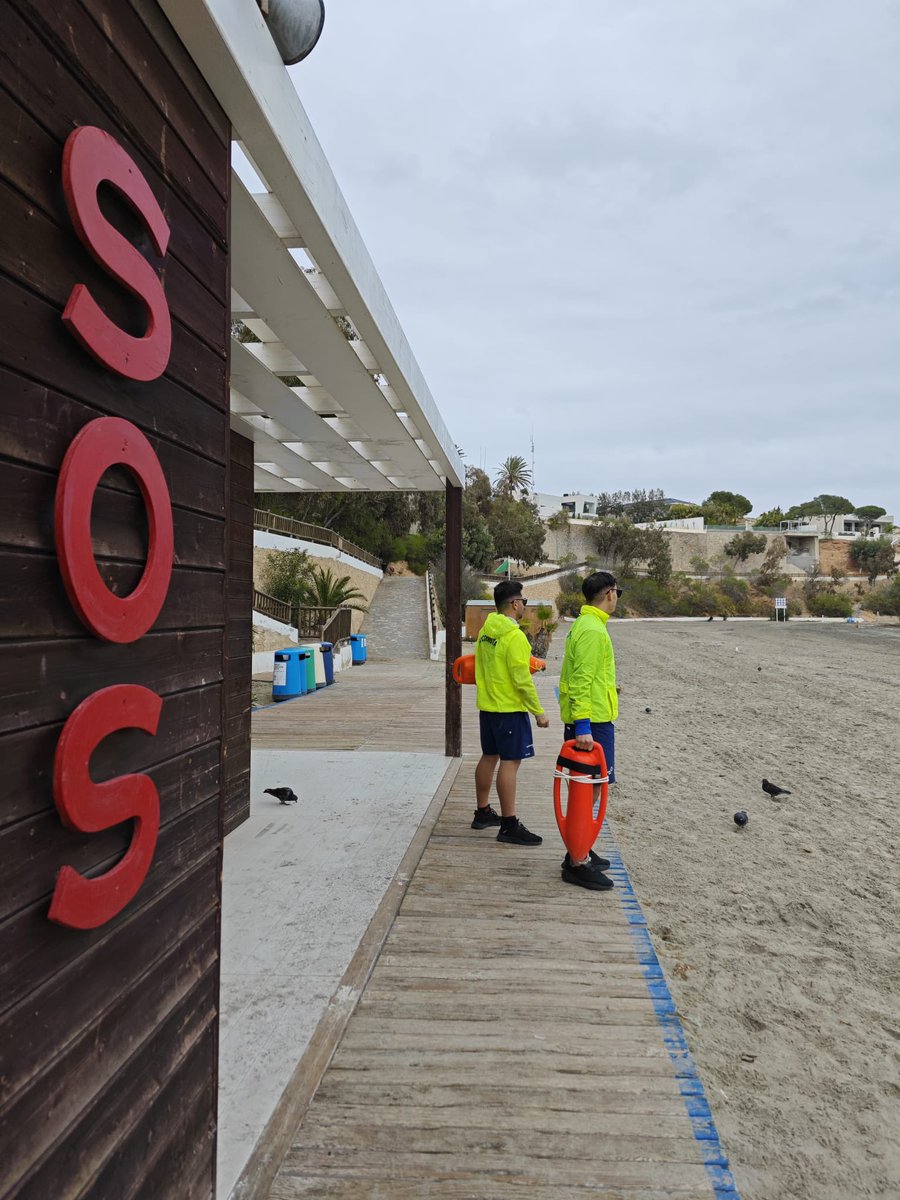 🗓️24/09/2024
📍Orihuela

Iniciamos servicio de #socorrismo en #playasdeorihuela con bandera verde 🟩 y mar en calma

Feliz martes! ⛱️
#playasegura