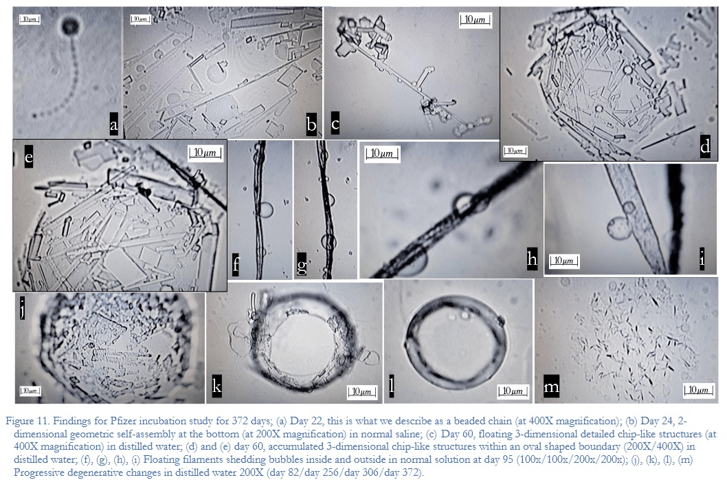 Artsen Voor Vrijheid tweet media