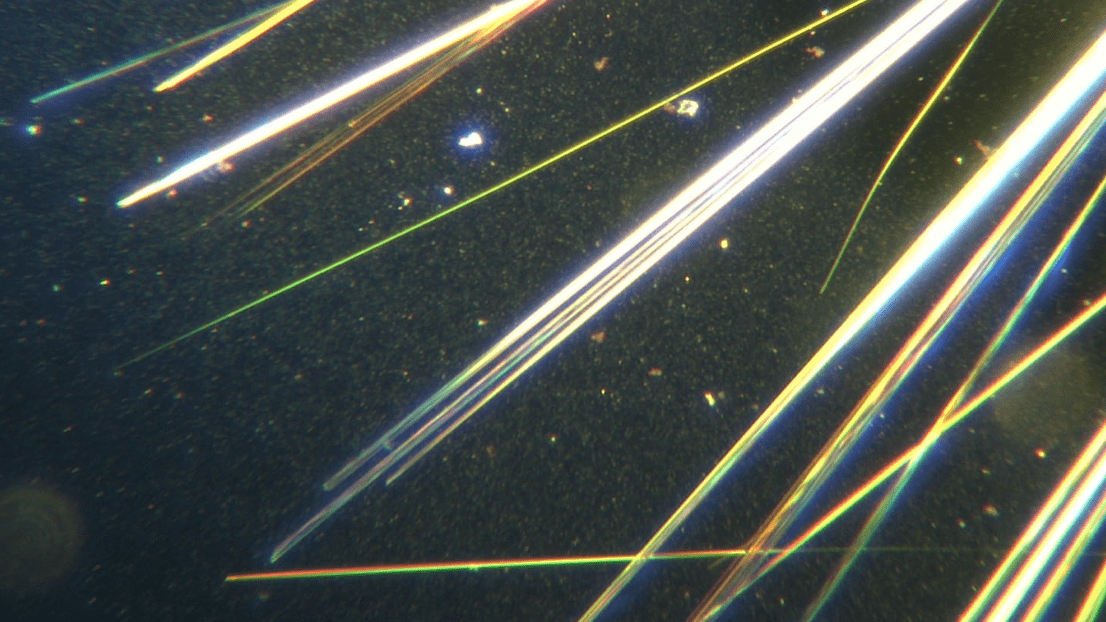 Artsen Voor Vrijheid tweet media