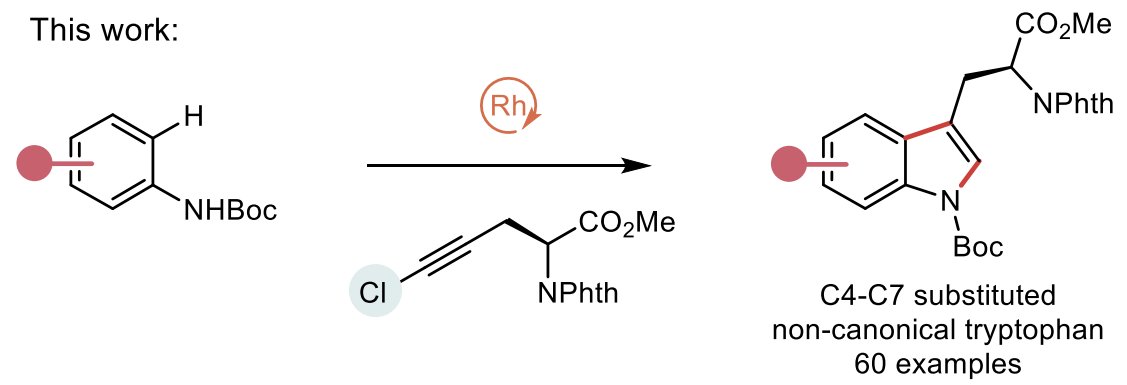 Procter Group tweet media
