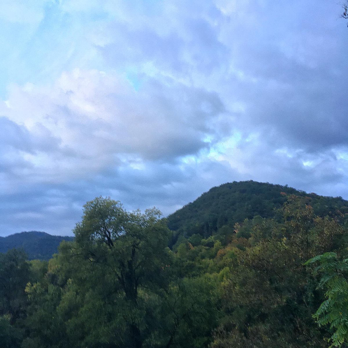 Nyevit's tweet photo. Esperant que el bosc és mudi de tardor #microrelat #Conte https://t.co/eYydg91Svw