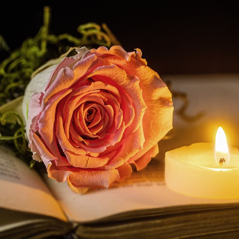 Spiritual Funerals
NEW! Fantastic 2-day training course endorsed by
Awarding Body NOCN
29th and 30th October 2024
Have you ever been asked for more spiritual elements in a funeral ceremony? This is something you can now learn to do:
civilceremonies.co.uk/spiritual-fune… or 01480 276080